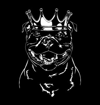 Obrázek 2 produktu Pánská mikina Král Pitbull