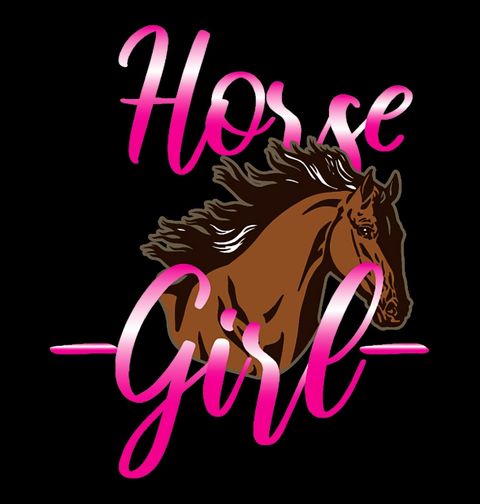 Obrázek produktu Pánská mikina Milovnice Koní Horse Girl