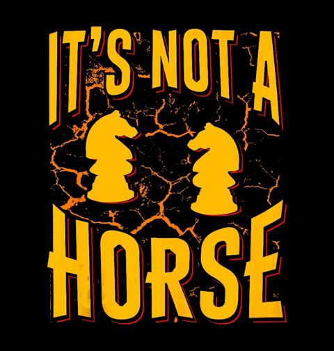 Obrázek produktu Pánská mikina Jezdec To není Kůň It’s Not a Horse