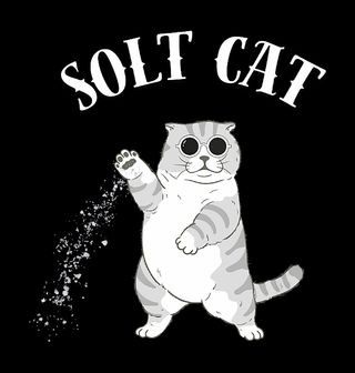 Obrázek 1 produktu Dámské tričko Solící Kočka Solt Cat