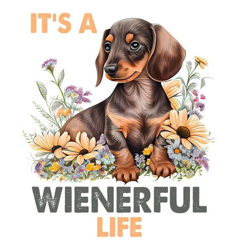 Obrázek produktu Pánské tričko Jezevčík It’s A Wienerful Life