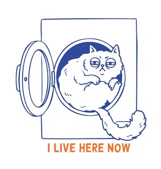 Obrázek 2 produktu Pánské tričko Kočka v Pračce I Live Here Now