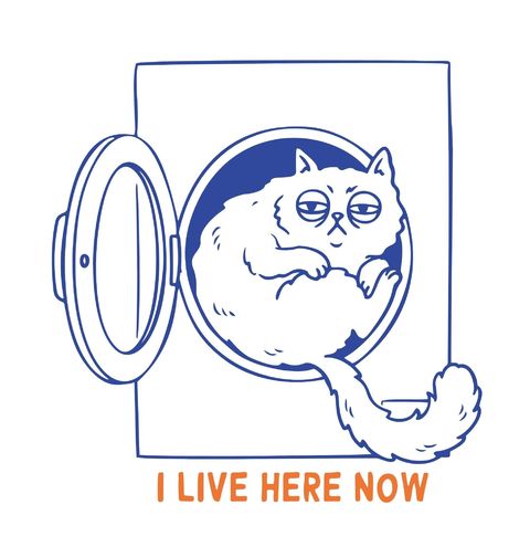Obrázek produktu Pánské tričko Kočka v Pračce I Live Here Now