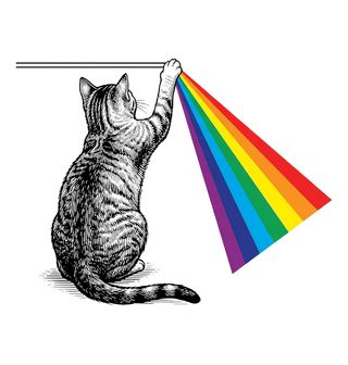 Obrázek 1 produktu Pánské tričko Kočka s Duhou Dark Side of the Moon