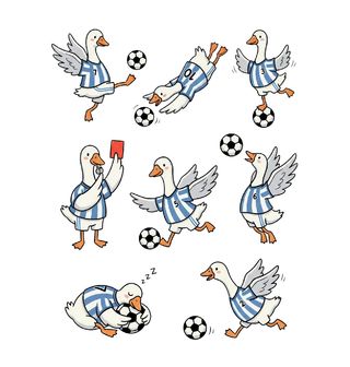 Obrázek 1 produktu Pánské tričko Husa Fotbalistka