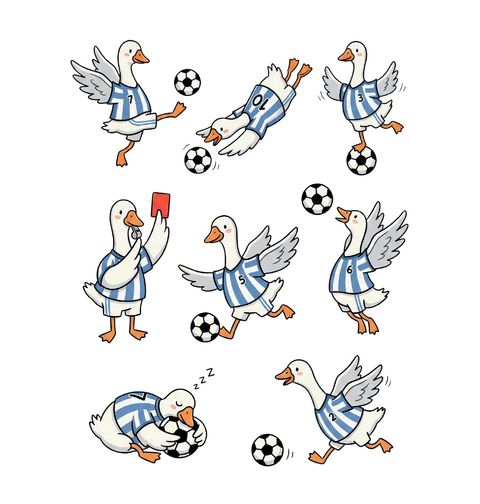 Obrázek produktu Pánské tričko Husa Fotbalistka