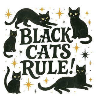 Obrázek 2 produktu Dámské tričko Černé Kočky Vládnou Black Cats Rule