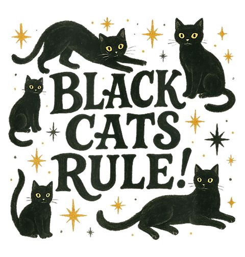 Obrázek produktu Dámské tričko Černé Kočky Vládnou Black Cats Rule