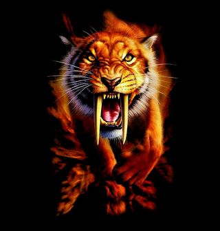 Obrázek 2 produktu Dámské tričko Šavlozubý tygr