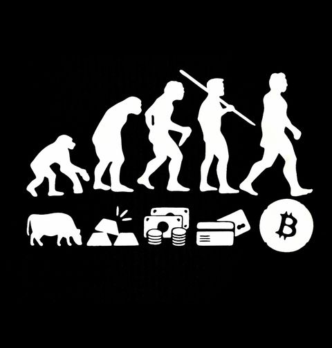 Obrázek produktu Dámské tričko Finanční evoluce Bitcoin
