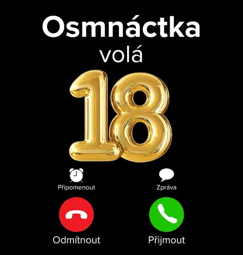Obrázek produktu Dámské tričko Osmnáctka volá Phone Call
