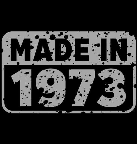 Obrázek produktu Pánská mikina Vyrobeno v Roce 1973