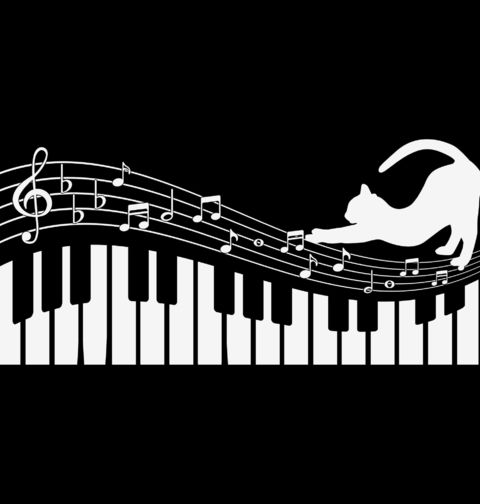 Obrázek produktu Pánská mikina Kočičí Symfonie na Piano