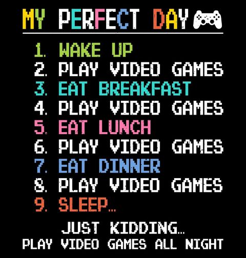 Obrázek produktu Pánské tričko Můj Ideální Den Hráče My Perfect Day