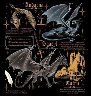 Obrázek 2 produktu Dětské tričko Draci Tairn, Sgaeyl a Andarna Fourth Wing Dragons