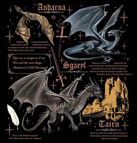 Obrázek produktu Dětské tričko Draci Tairn, Sgaeyl a Andarna Fourth Wing Dragons