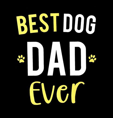 Obrázek produktu Pánské tričko Nejlepší psí táta