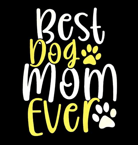 Obrázek produktu Dámské tričko Nejlepší psí máma