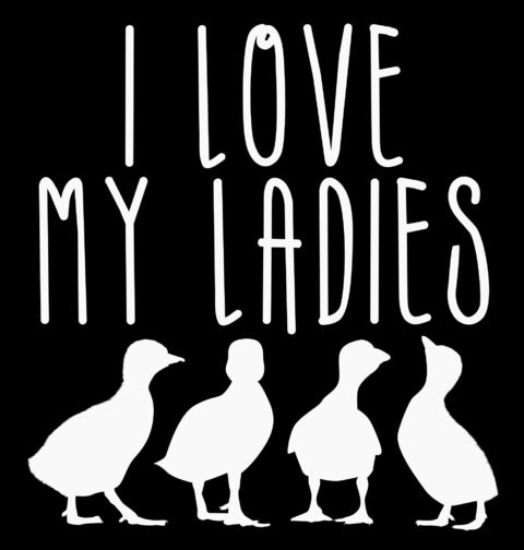 Obrázek produktu Dětské tričko Miluju svoje Kachní Dámy I Love My Ladies