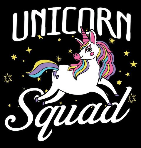 Obrázek produktu Pánské tričko Tým Jednorožců Unicorn Squad