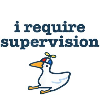 Obrázek 1 produktu Pánské tričko Husa s Vrtulkou I Require Supervision