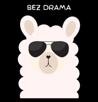 Obrázek 1 produktu Dětské tričko Lama bez drama
