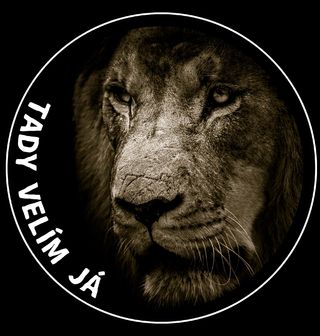 Obrázek 1 produktu Pánská mikina Tady velím Já Lev
