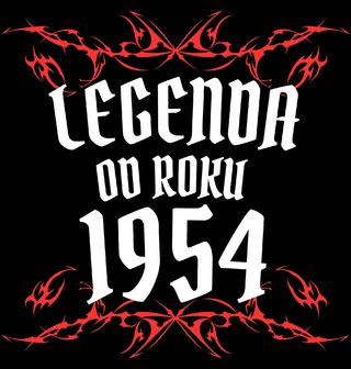 Obrázek 1 produktu Pánská mikina Metalová Legenda od Roku 1954