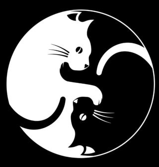 Obrázek 2 produktu Dámské tričko Jin a Jang kočičky (Velikost: L)