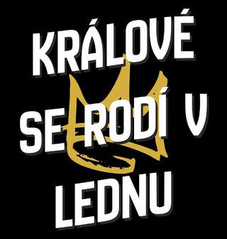 Obrázek 1 produktu Dětské tričko Králové s Korunou se Rodí v Lednu