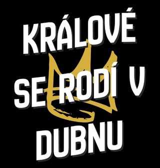 Obrázek 1 produktu Dětské tričko Králové s Korunou se Rodí v Dubnu