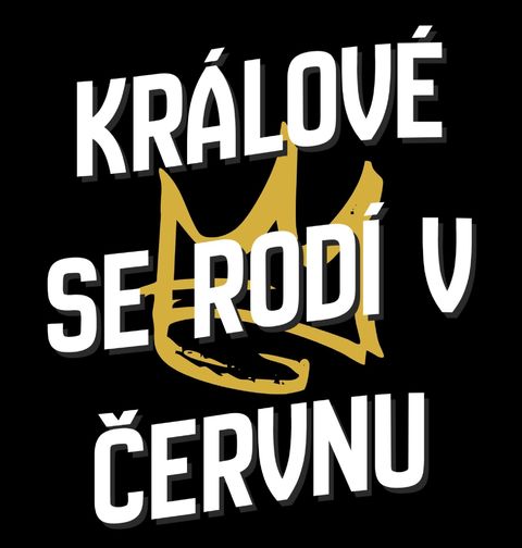 Obrázek produktu Dětské tričko Králové s Korunou se Rodí v Červnu