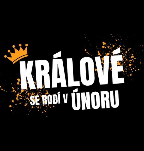 Obrázek produktu Dětské tričko Králové se Rodí v Únoru