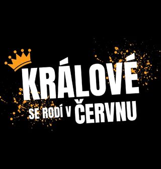 Obrázek 1 produktu Pánská mikina Králové se Rodí v Červnu