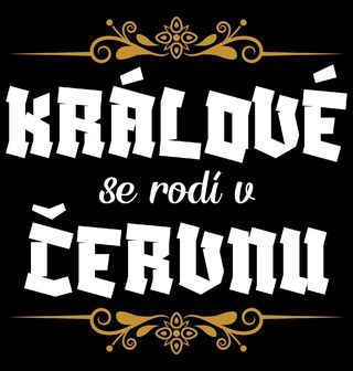 Obrázek 1 produktu Dětské tričko Králové se Rodí v Červnu Kings Are Born in June