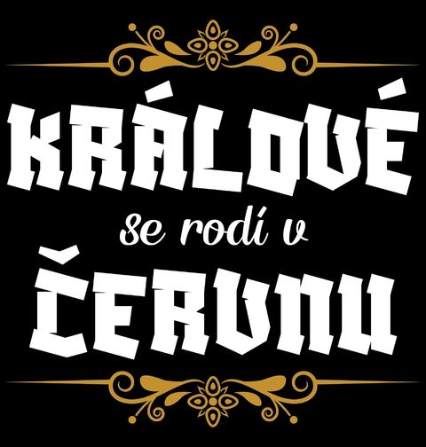 Obrázek produktu Pánská mikina Králové se Rodí v Červnu Kings Are Born in June