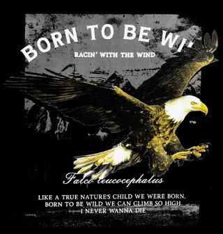 Obrázek 2 produktu Dámské tričko Born To Be Wild Bělohlavý orel