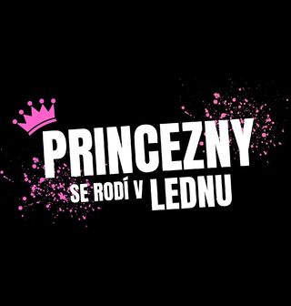 Obrázek 2 produktu Dětské tričko Princezny se Rodí v Lednu