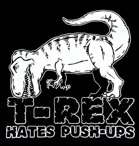 Obrázek produktu Dámské tričko T-Rex nesnáší kliky