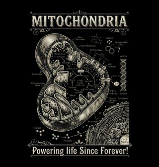 Obrázek 2 produktu Dětské tričko Mitochondrie Powering life Since Forever