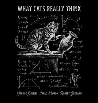 Obrázek 2 produktu Dámské tričko Fyzika What Cats Really Think
