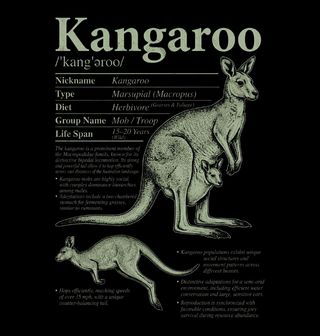 Obrázek 2 produktu Pánské tričko Klokan Kangaroo