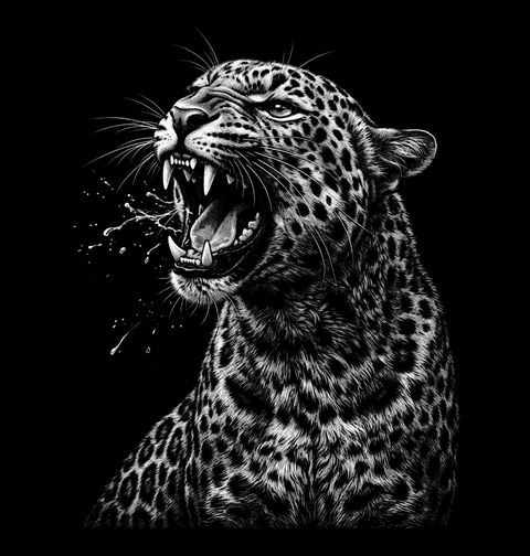 Obrázek produktu Pánské tričko Řvoucí Leopard