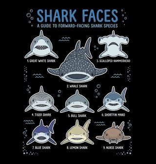 Obrázek 2 produktu Dětské tričko Atlas Žraloků Shark Faces