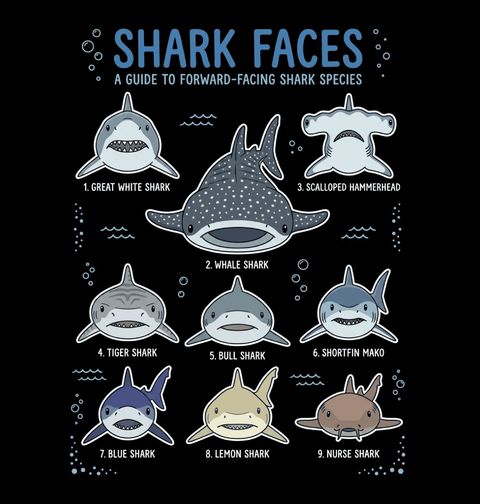 Obrázek produktu Pánská mikina Atlas Žraloků Shark Faces