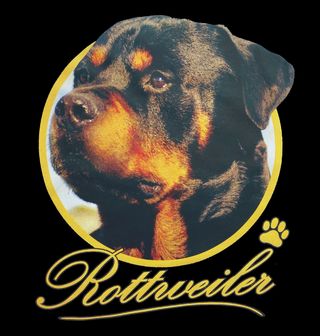 Obrázek 2 produktu Pánské tričko Rotvajler Rottweiler