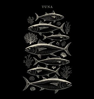 Obrázek 2 produktu Pánské tričko Tuňáci Tuna