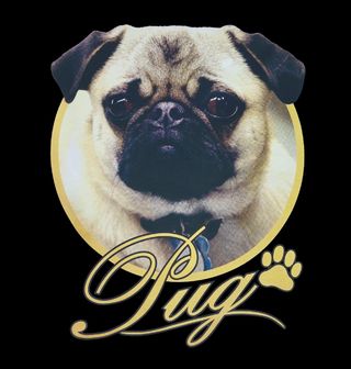Obrázek 2 produktu Dámské tričko Mops Pug