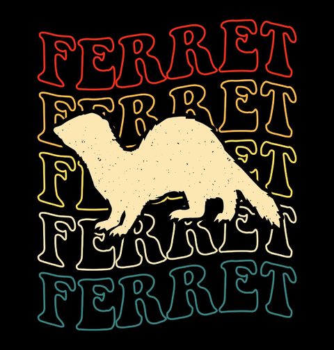 Obrázek produktu Dětské tričko Fretka Ferret