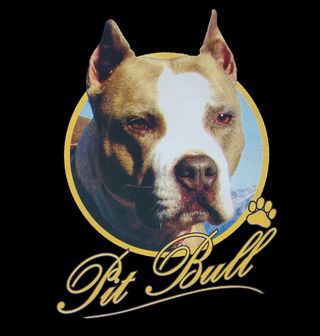 Obrázek 2 produktu Pánské tričko Pit Bull Pitbul
